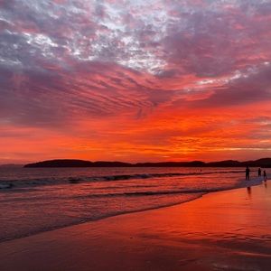 Meet your Posher, Ernie D